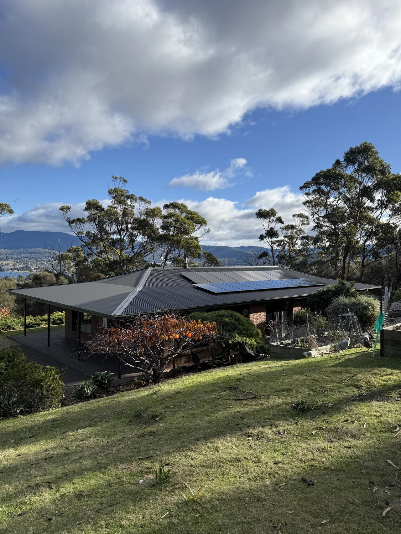 The house and its solar array seen from the paddock below